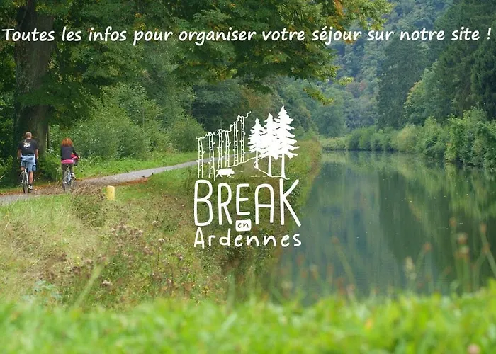 La Chouette Au Bouleau