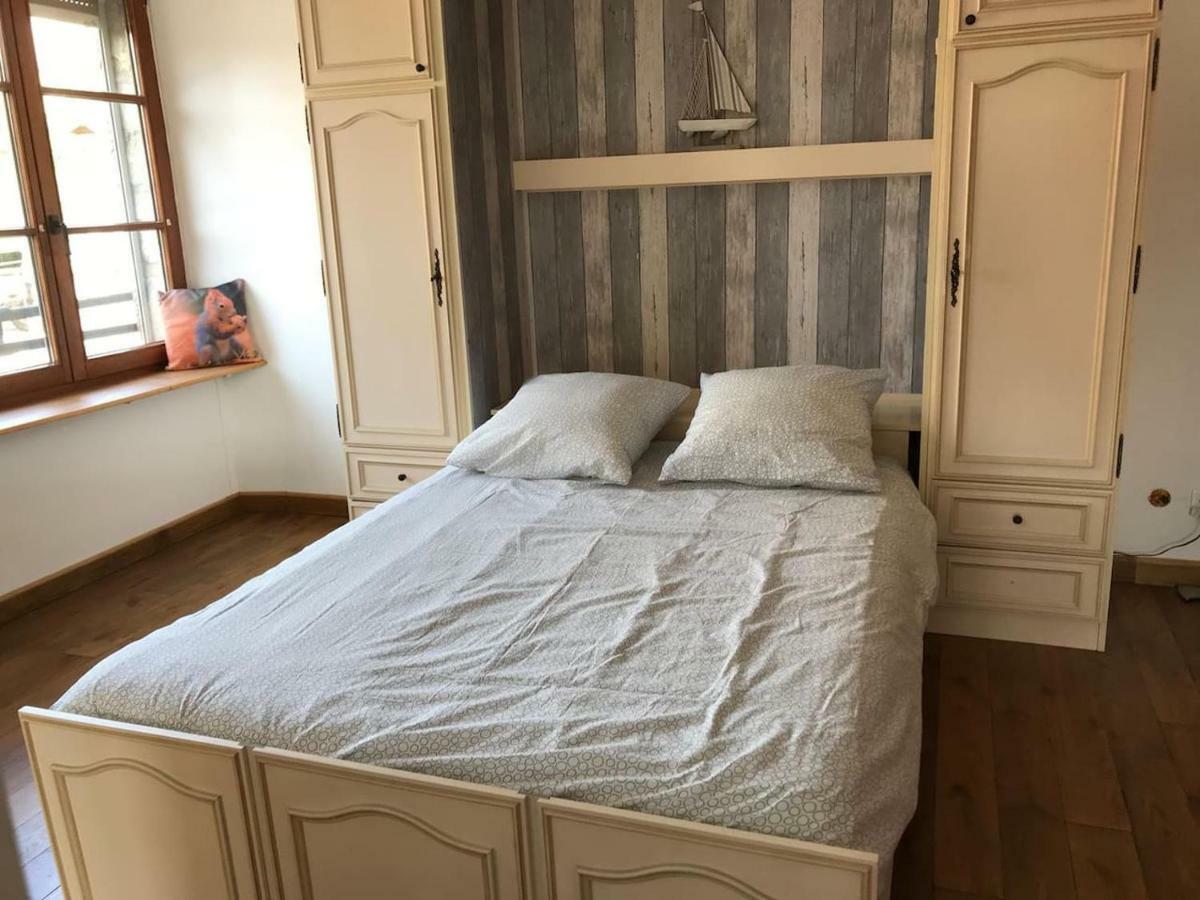 La Chouette Au Bouleau *