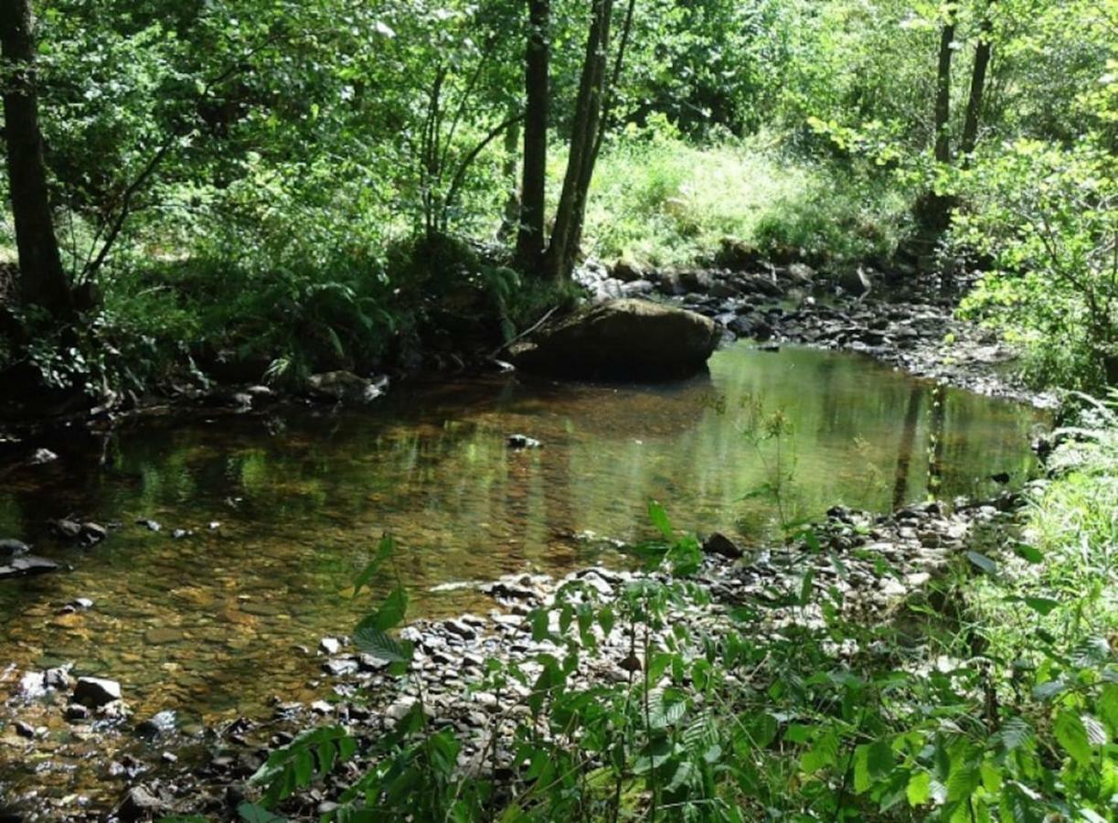 La Chouette Au Bouleau Hargnies